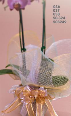 5/8" X 25y Sheer With Satin Edge/Gold Trim Ribbons